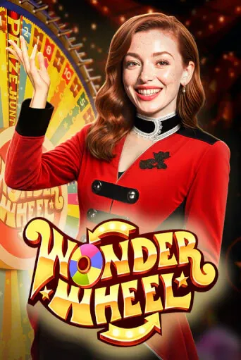 Imgi 21 WonderWheel40513x767 1@x2